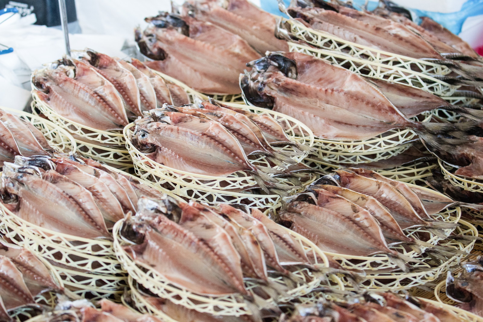 img src=”魚.jpeg” alt=”魚を食べて身長を伸ばす”